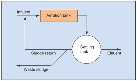 Wastewater Treatment Components and Functions